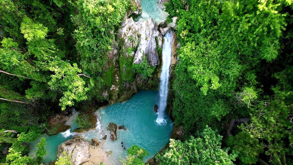 Picture 5 for Activity Cebu: Whale Shark Swimming & Inambakan Falls Adventure