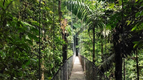 La Fortuna: viaje a puentes colgantes, cascadas y volcán Arenal