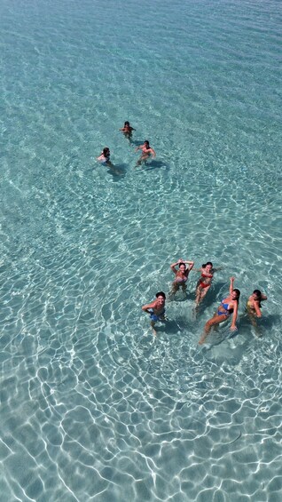 Picture 1 for Activity Stintino Asinara full day catamaran