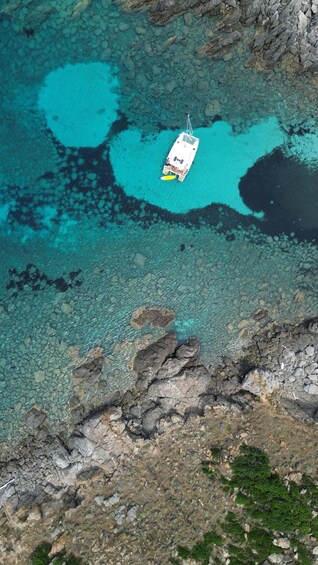 Picture 5 for Activity Stintino Asinara full day catamaran