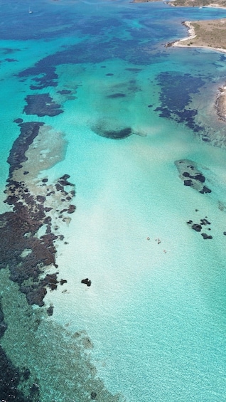 Picture 3 for Activity Stintino Asinara full day catamaran