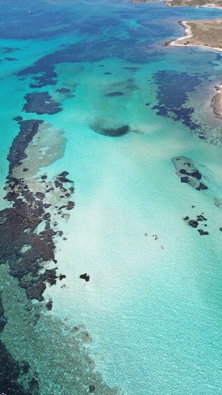 Picture 3 for Activity Stintino Asinara full day catamaran