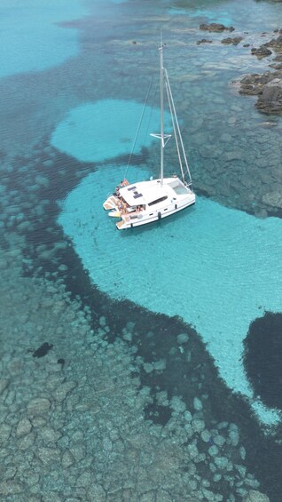 Picture 6 for Activity Stintino Asinara full day catamaran