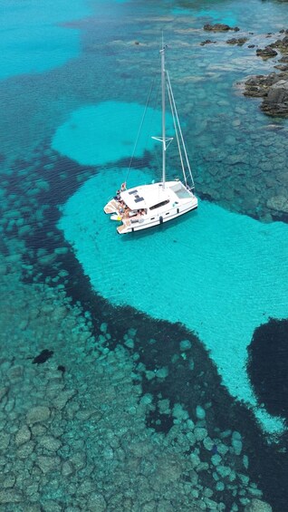 Stintino Asinara full day catamaran