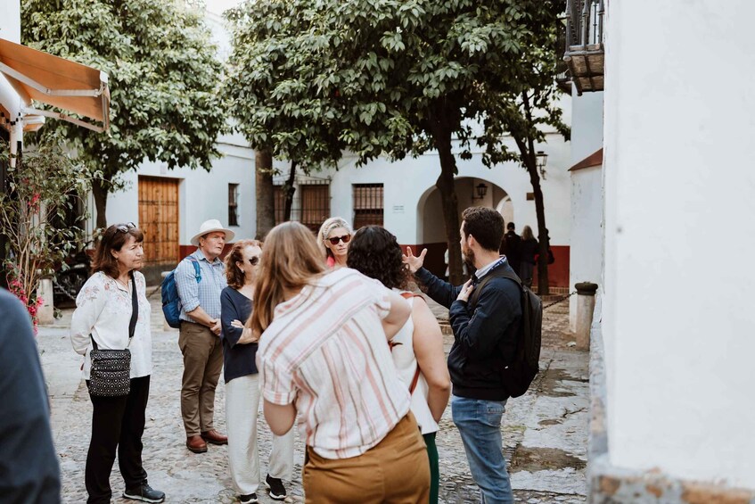 Picture 4 for Activity Seville Jewish Quarter walking tour: Santa Cruz District