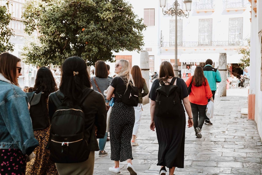 Picture 3 for Activity Seville: Guided Walking Tour of the Santa Cruz District