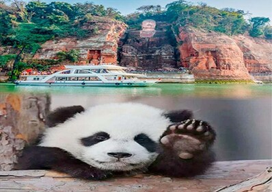 Chengdu panda & Leshan Buddha yhden päivän yksityinen retki