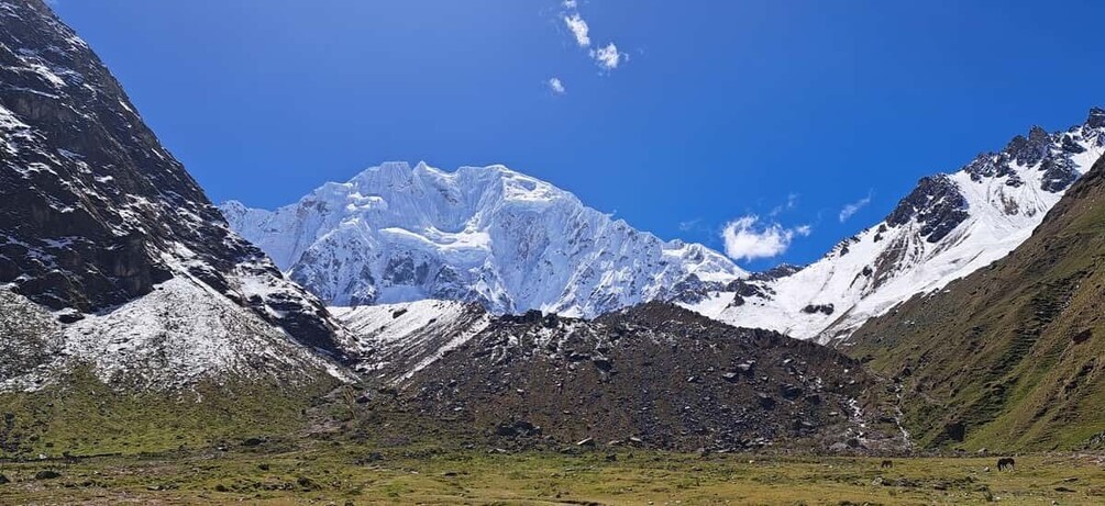 Picture 1 for Activity Ayahuasca Retreat in Salkantay to Machupicchu 9 days