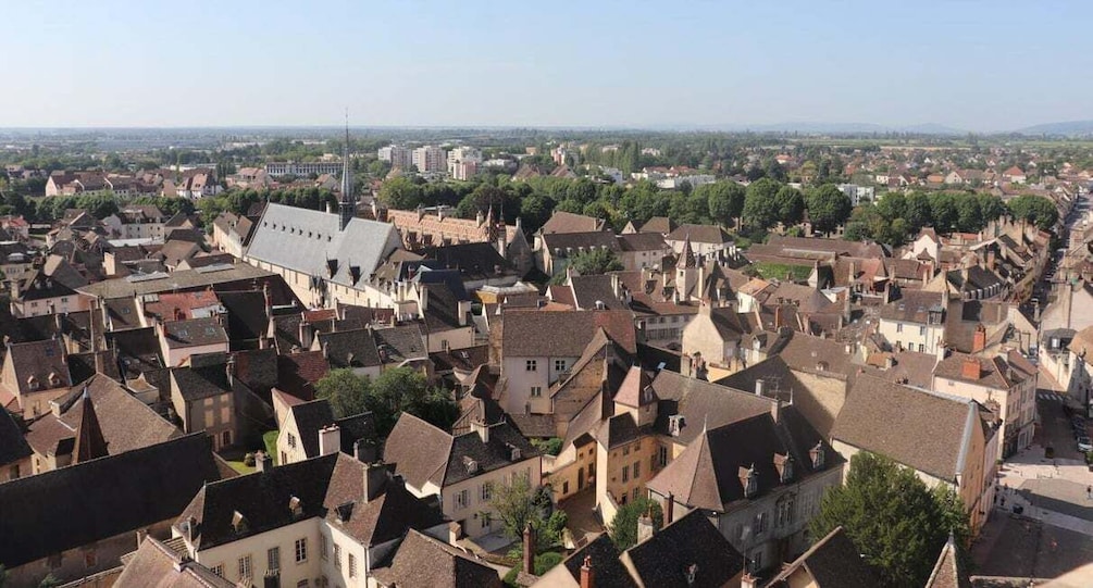 Picture 4 for Activity Beaune: Exclusive Private Guided Tour