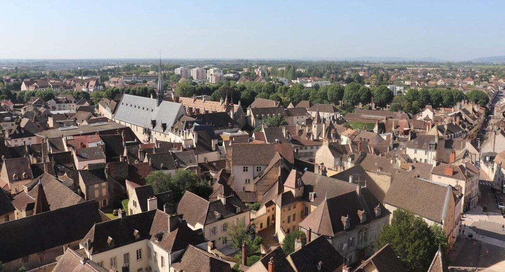 Picture 4 for Activity Beaune: Exclusive Private Guided Tour
