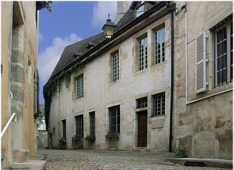 Picture 4 for Activity Beaune - Private walking tour