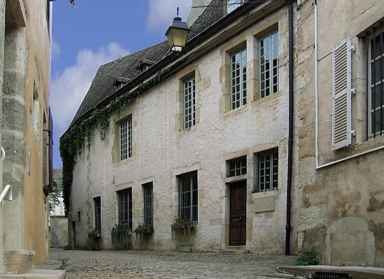 Picture 4 for Activity Beaune - Private walking tour