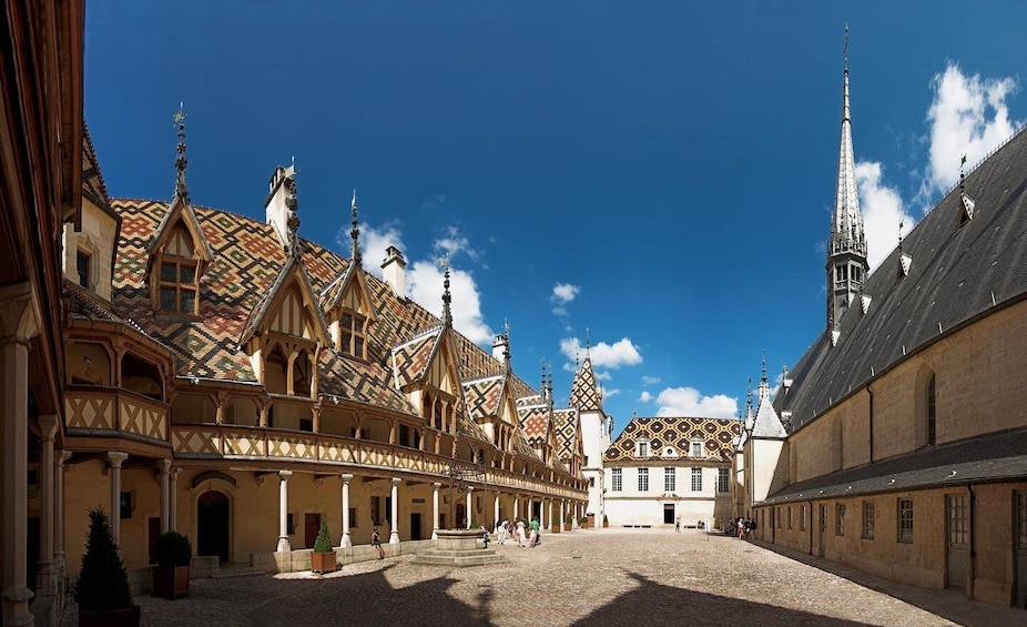 Beaune: Exclusive Private Guided Tour
