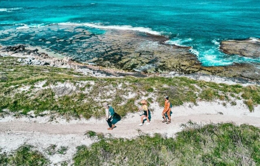 Picture 4 for Activity Rottnest Island: Lakes & Bays Guided 12km Hike