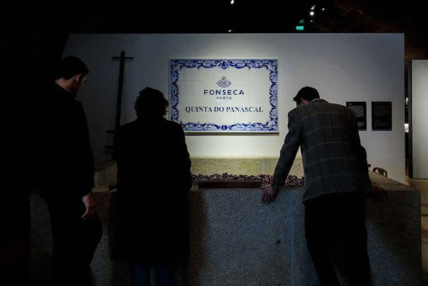 Picture 7 for Activity Porto: Cellar Tour, Dinner & Fado Show at Fonseca