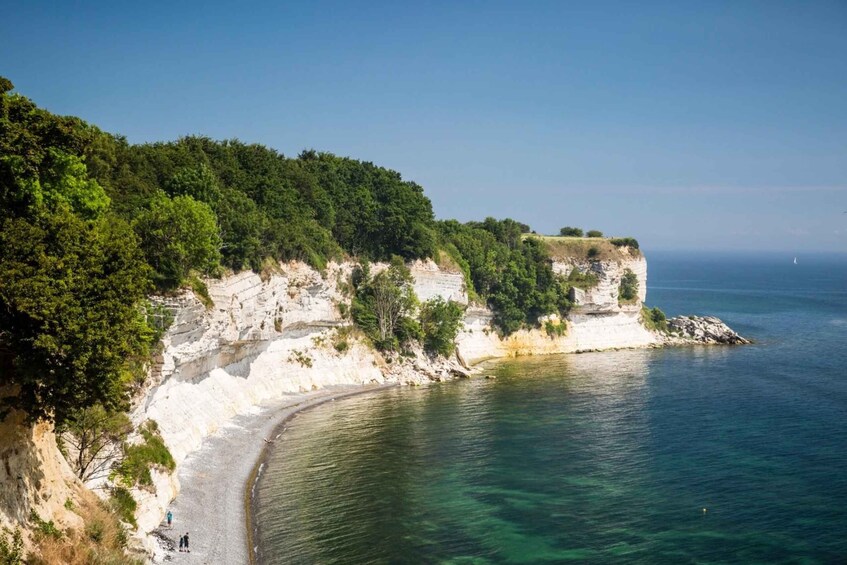 Fast-Track UNESCO Stevns Klint - Copenhagen Day Trip by Car