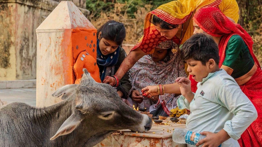Jaipur: Full Day Sightseeing Tour By Car & Local Tour Guide