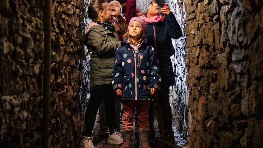 Picture 1 for Activity Erfurt: Guided Tour of The Petersberg Citadel