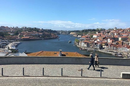 Från Lissabon: Upplevelse av Dourodalen och Porto stad