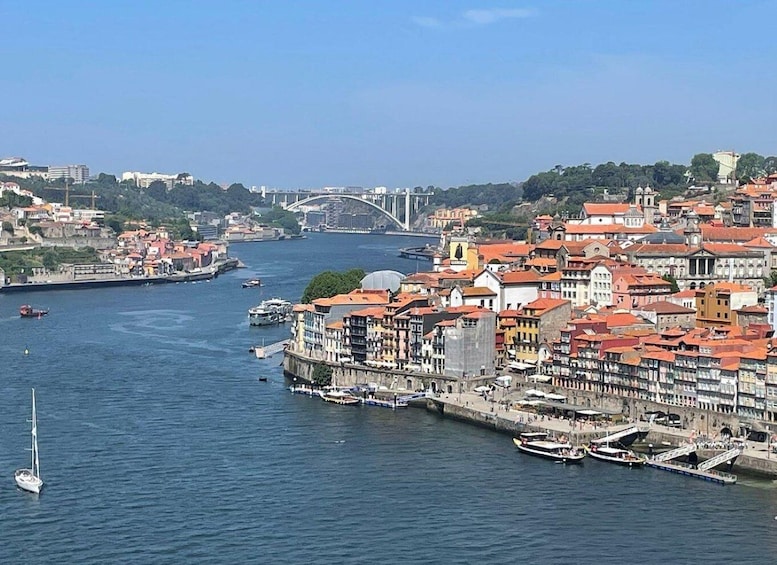 Picture 5 for Activity From Lisbon: Douro Valley and Porto Town Experience