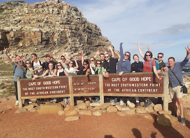 Ciudad del Cabo: excursión de un día al Cabo de Buena Esperanza, focas y pi...