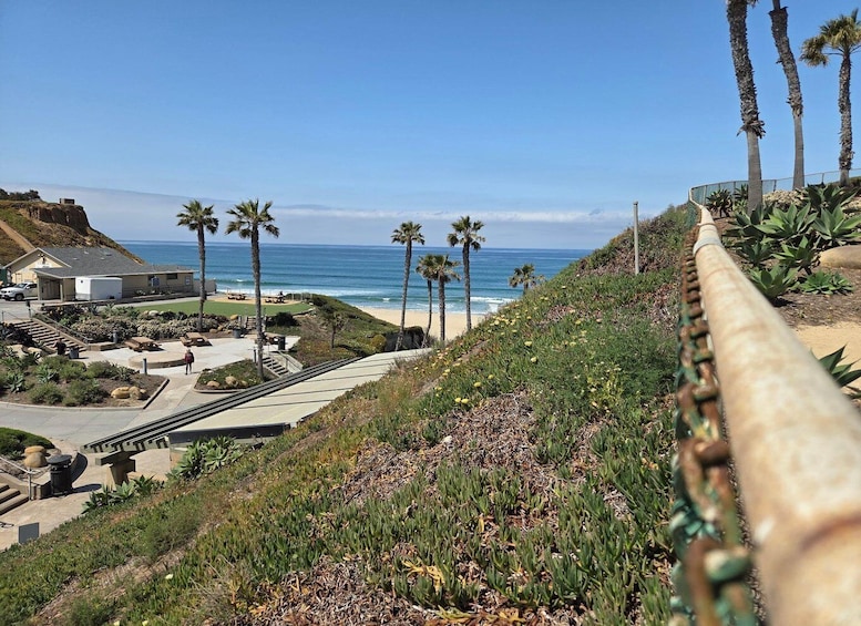 Picture 9 for Activity Solana Beach: E-Bike Tour to Torrey Pines or North Coast