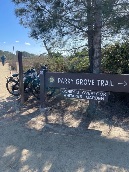 Picture 9 for Activity Solana Beach: E-Bike Tour to Torrey Pines or North Coast