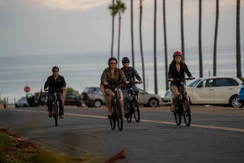 Picture 3 for Activity Solana Beach: E-Bike Tour to Torrey Pines or North Coast