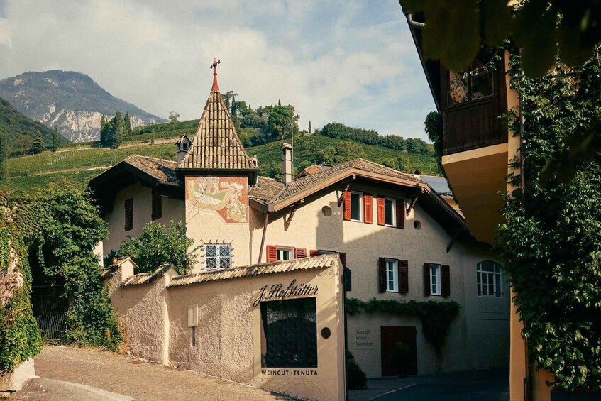 Picture 4 for Activity Tramin/Termeno: Winery Tour & Wine Tasting, J. Hofstätter