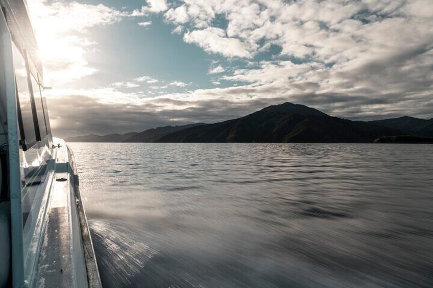 Cougar Line Queen Charlotte Sound Cruise 