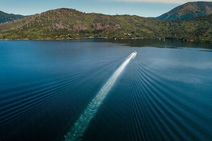 Cougar Line Sounds Jetty Queen Charlotte Sound