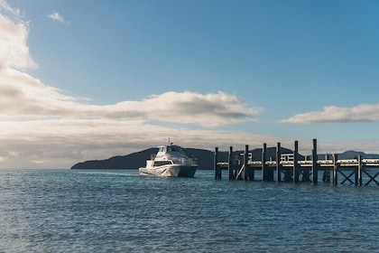 3.5 Hour Marlborough Sounds Delivery Cruise