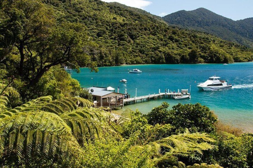 Cruise pulling into a secluded bay