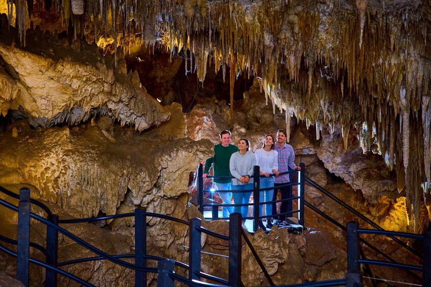 Picture 3 for Activity Yallingup: Ngilgi Cave Ancient Lands Experience