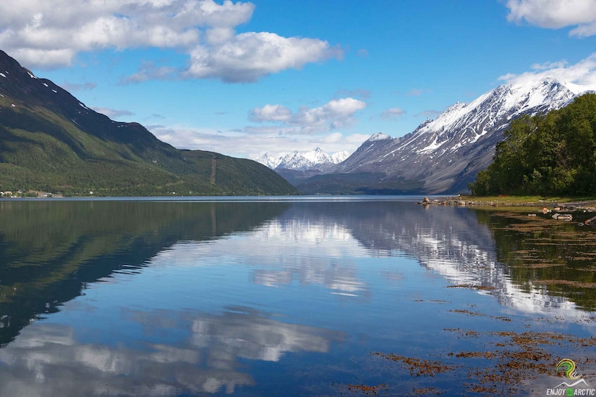 Picture 1 for Activity From Tromso: Norwegian Fjords Half-Day Tour