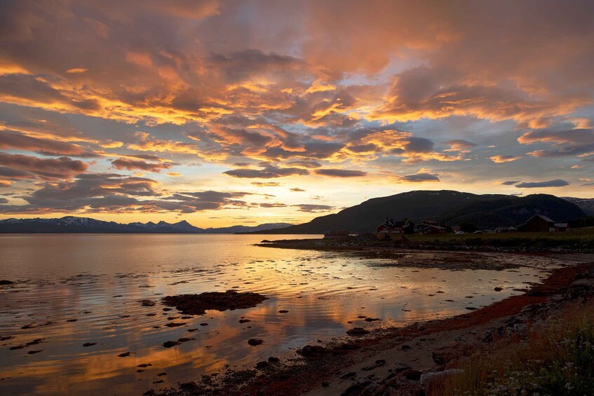 Picture 2 for Activity From Tromso: Norwegian Fjords Half-Day Tour