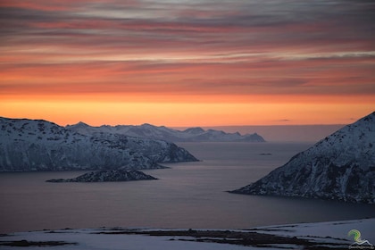 Ab Tromso: Norwegische Fjorde Halbtagestour