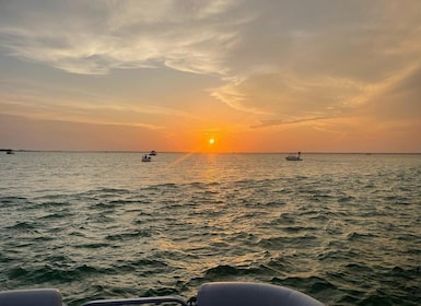 Florida: Emerald Coast Sunset & Dolphin Cruise with Guide