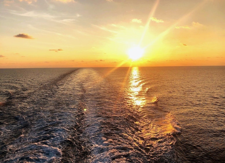Picture 2 for Activity Florida: Emerald Coast Sunset & Dolphin Cruise with Guide