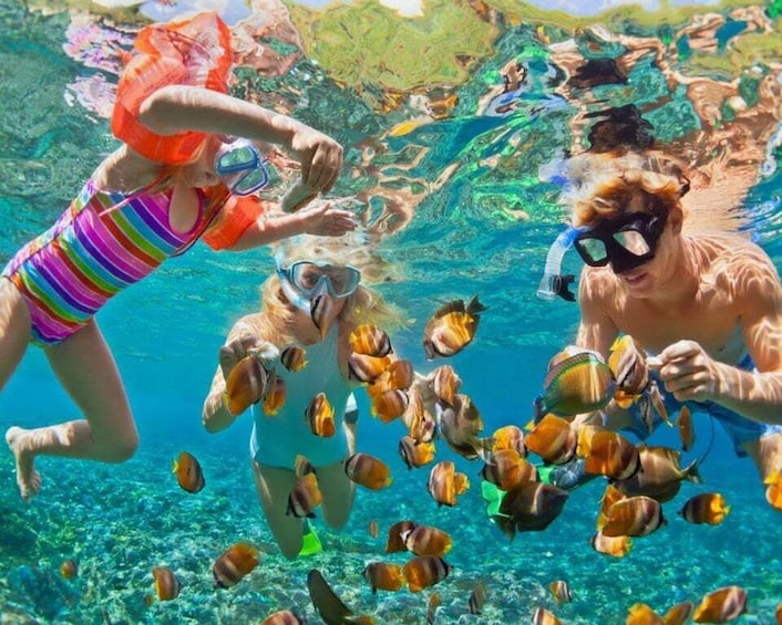 Picture 1 for Activity Barú: Club Freedom Beach with Mangrove and Snorkel