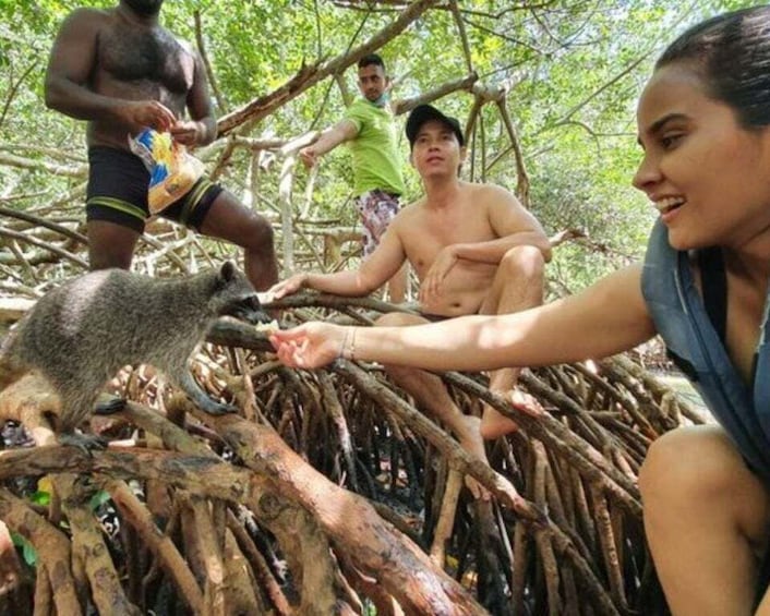 Picture 8 for Activity Barú: Club Freedom Beach with Mangrove and Snorkel