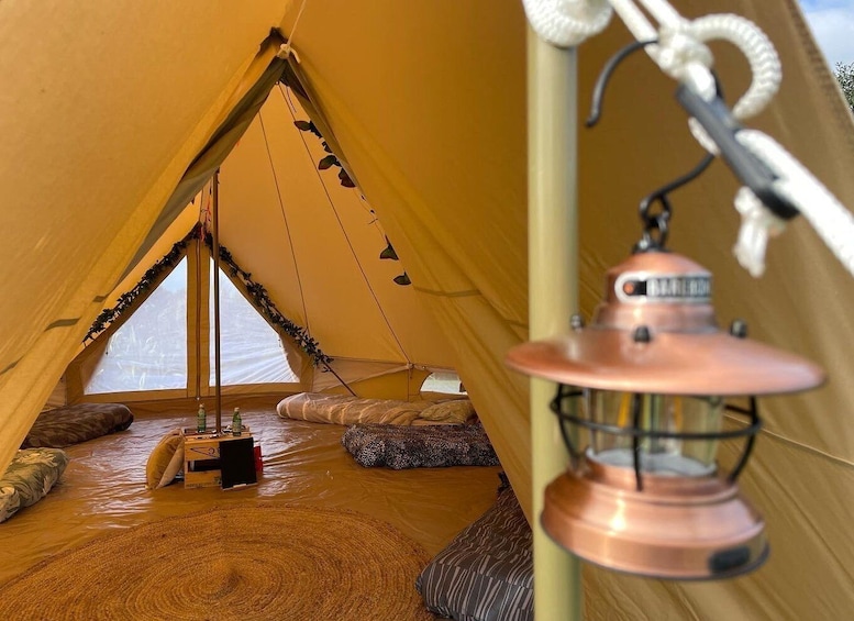 Picture 2 for Activity #1 Unforgettable Auckland Glamping Accommodation