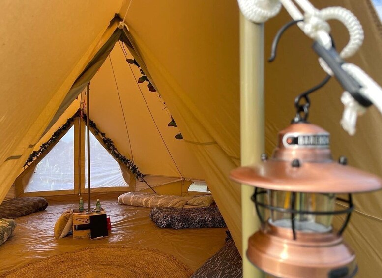 Picture 2 for Activity #1 Unforgettable Auckland Glamping Accommodation