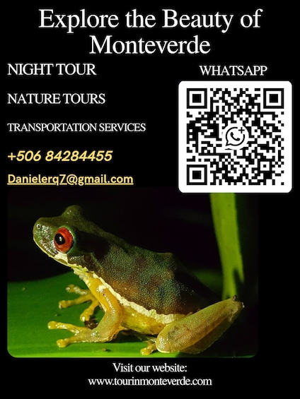 Picture 1 for Activity Monteverde: Guided Tour in the Cloud Forest