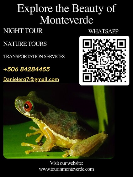 Picture 1 for Activity Monteverde: Guided Tour in the Cloud Forest