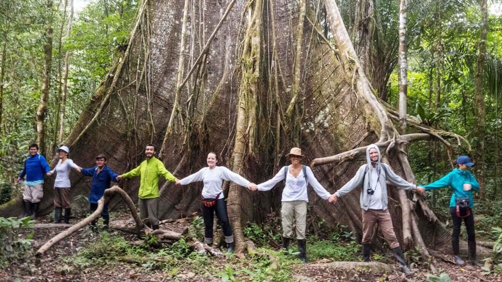 Picture 6 for Activity From Iquitos: 2 days/1 night in Amazonian lodge with meals