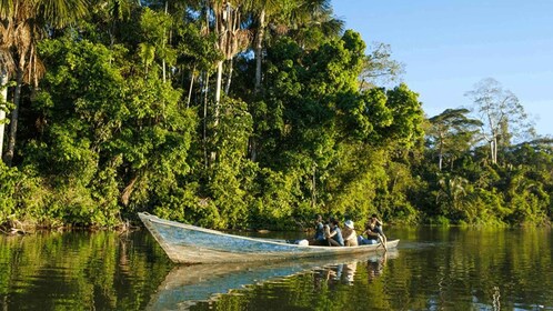 From Iquitos: 2 days/1 night in Amazonian lodge with meals