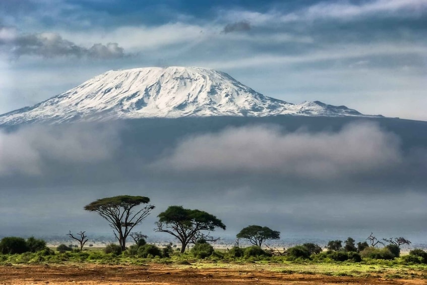 Picture 1 for Activity Kilimanjaro National Park – Shira Plateau, one day hike