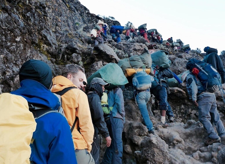 Picture 3 for Activity Kilimanjaro National Park – Shira Plateau, one day hike