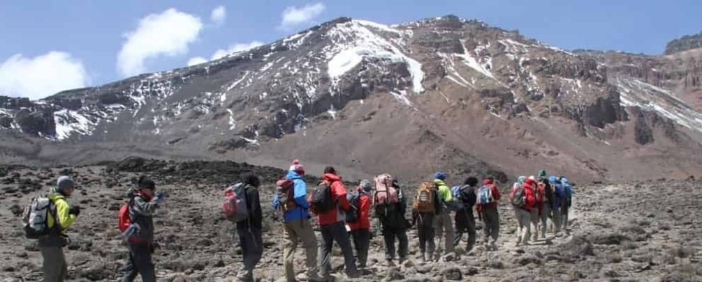 Kilimanjaro National Park – Shira Plateau, one day hike